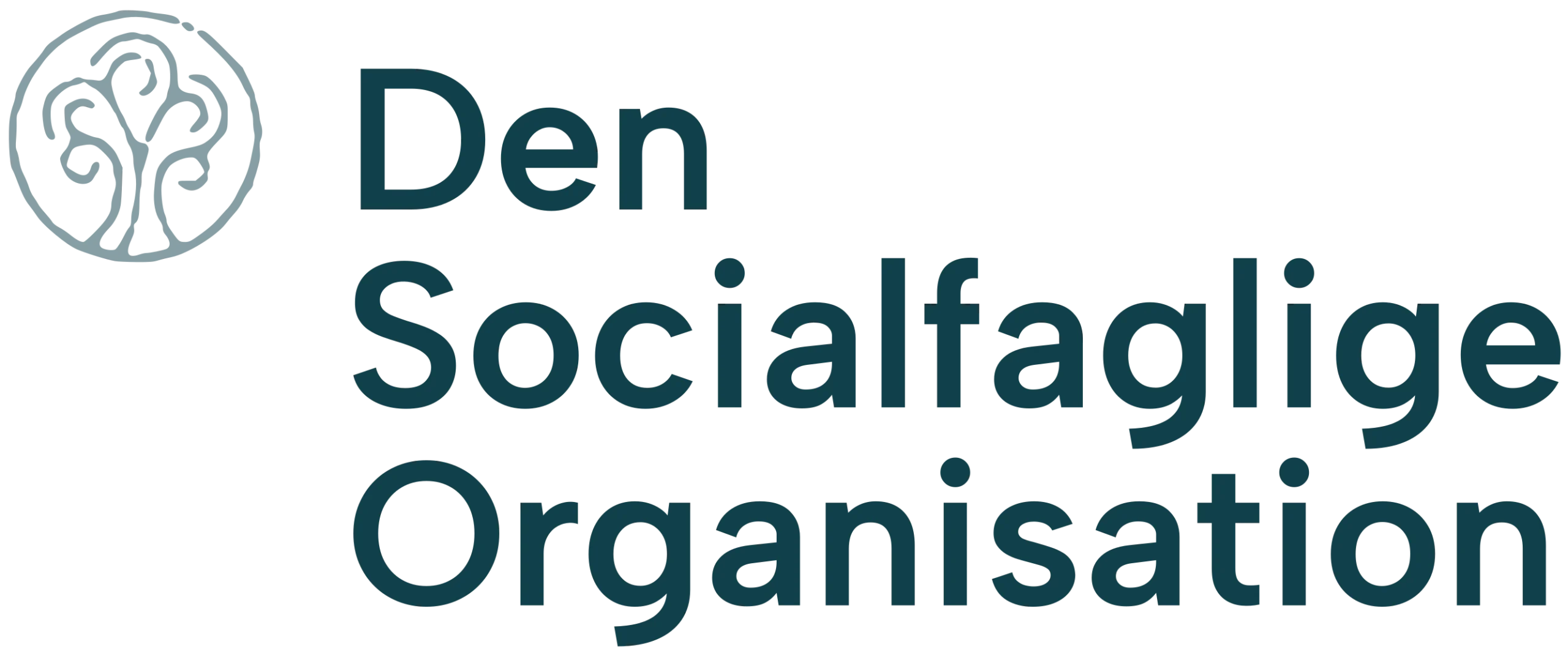 DSO logo
